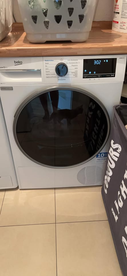 Beko B5T4824IF bPRO 500 tumble dryer, 8 kg, Front loading, heat pump