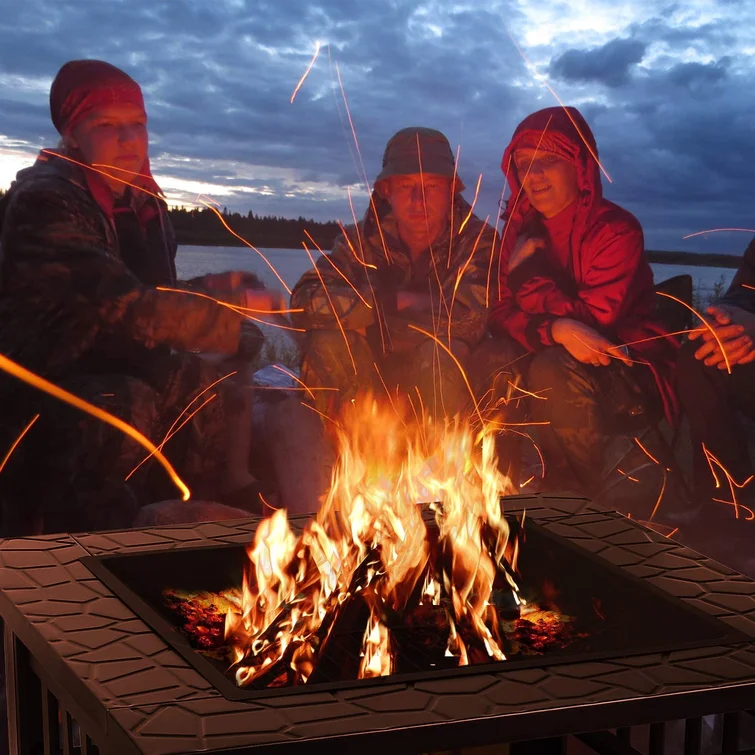 Harijan 17.3'' H x 31.9'' W Iron Outdoor Fire Pit