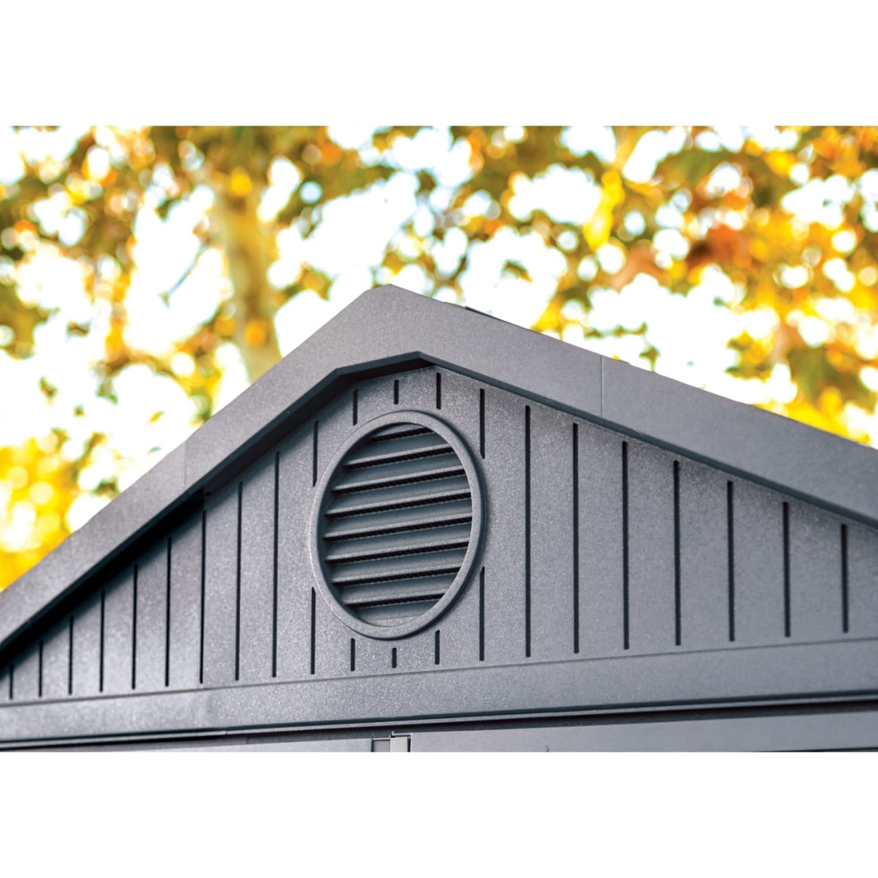 Keter Darwin 6 x 8ft Garden Shed