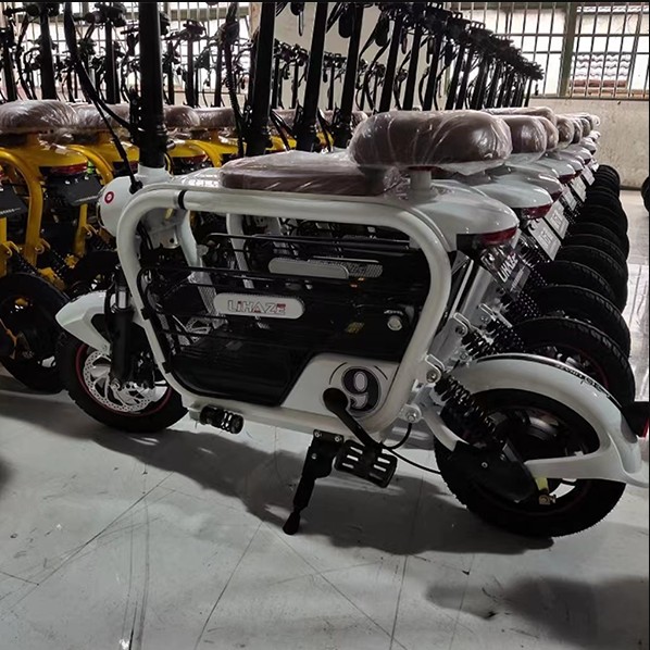 Double Electric Bike