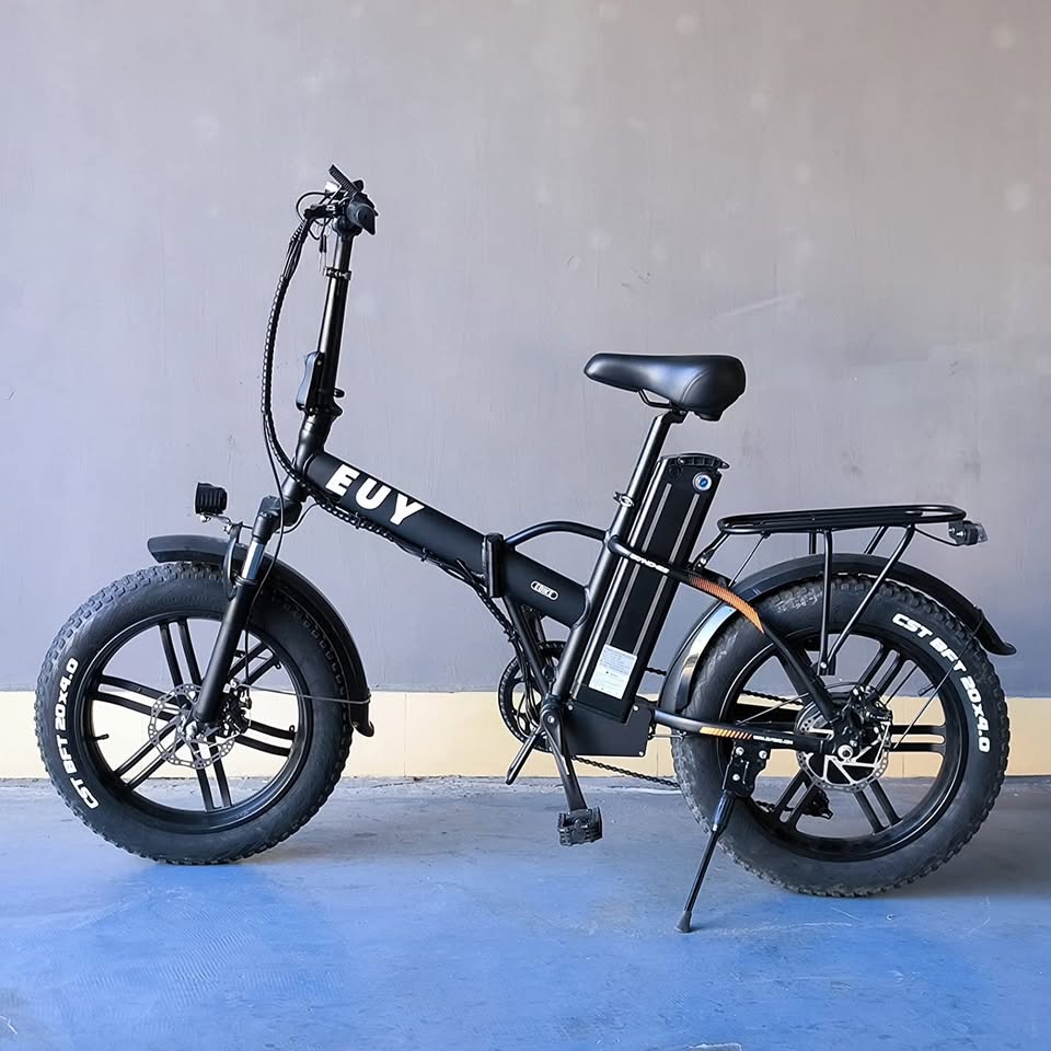 EUY Folding Adult Electric Bike, 750W (Peak 1000W) Motor, 48V 20AH Removable Battery, Commuter