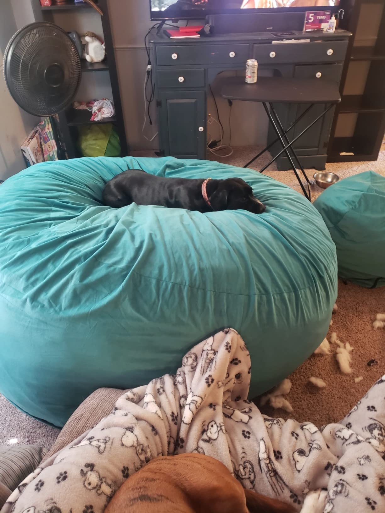【Furniture】6000 Bean Bag Chair w/Footstool: Giant Foam-Filled Furniture - Machine Washable Covers