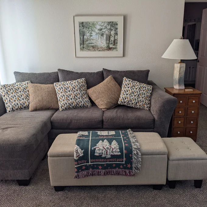 【Furniture】Edyth Upholstered Storage Ottoman