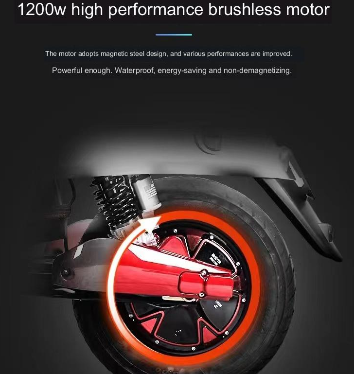 Little Turtle King Electric Car 72v. Adult Battery Car