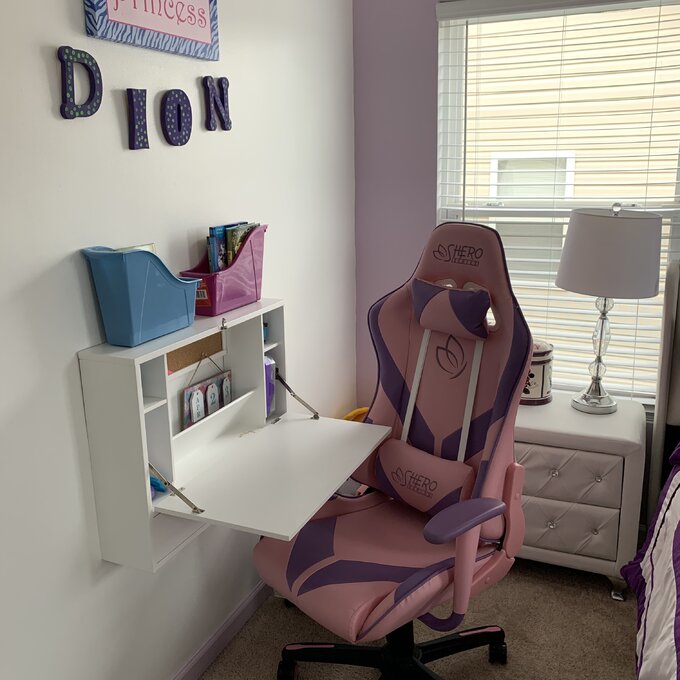 【Furniture】PC & Racing Game Chair