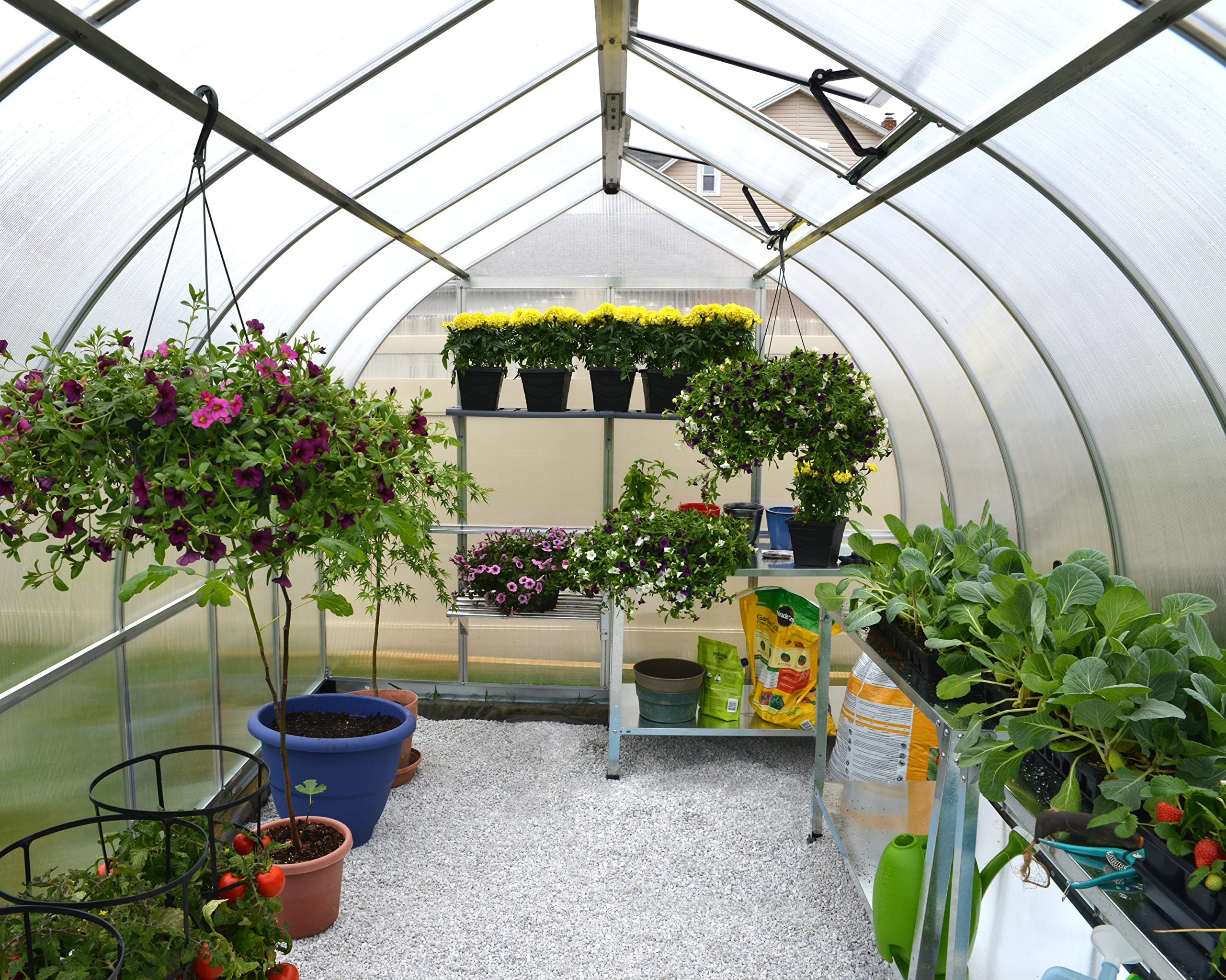 【Home&Garden】Bella Hobby Greenhouse, 8' x 12', Silver with Twin Wall Glazing