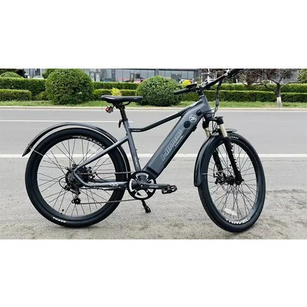 Electric Bike (NN)