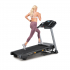 NordicTrack Series 6.5 Si Treadmill