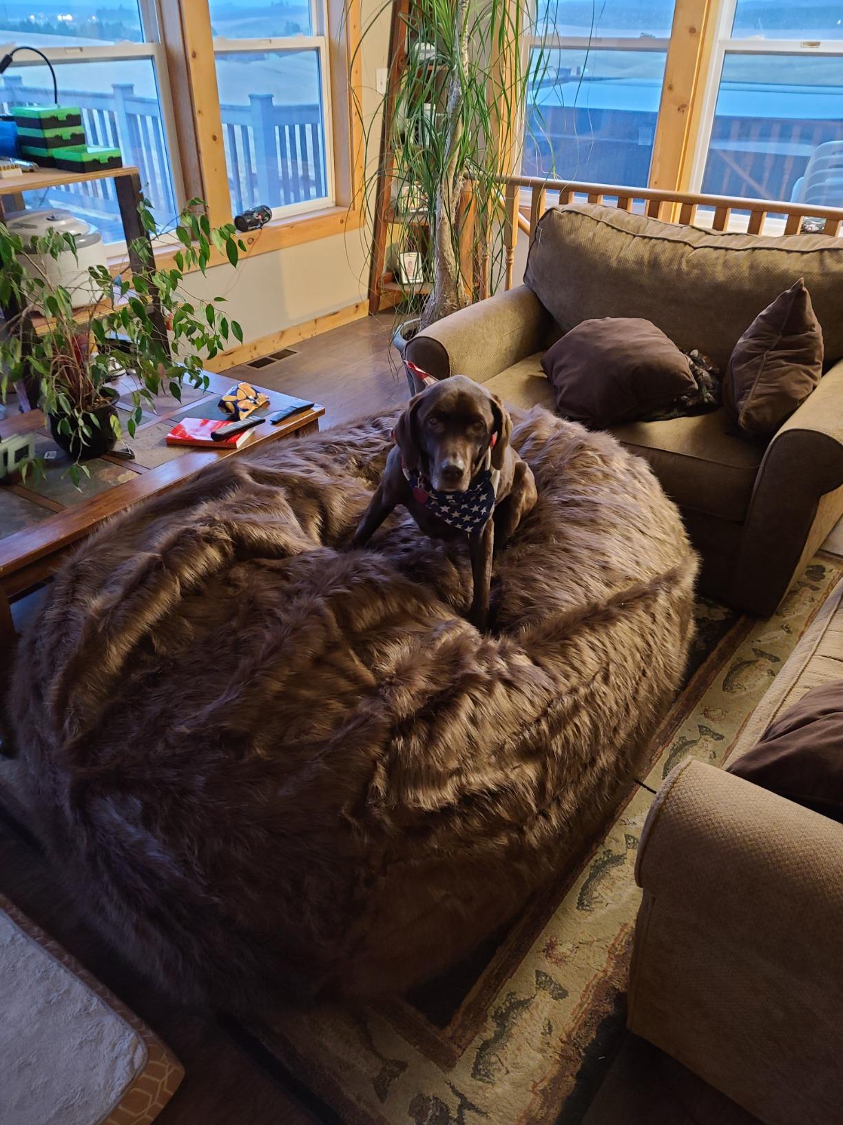 【Furniture】Comfy Sacks Memory Foam Bean Bag Chair