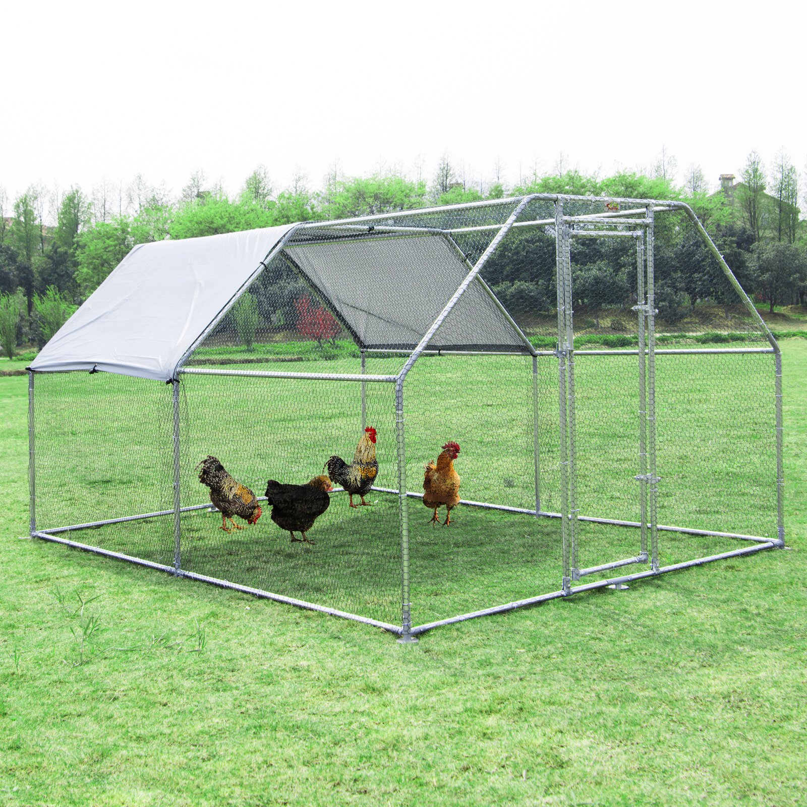 Sharma Walk In Chicken Run For Up To 28 Chickens