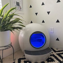 Self-Cleaning Cat Litter Box Extra Large Automatic Cat Litter Box with APP Control & Safe Alert