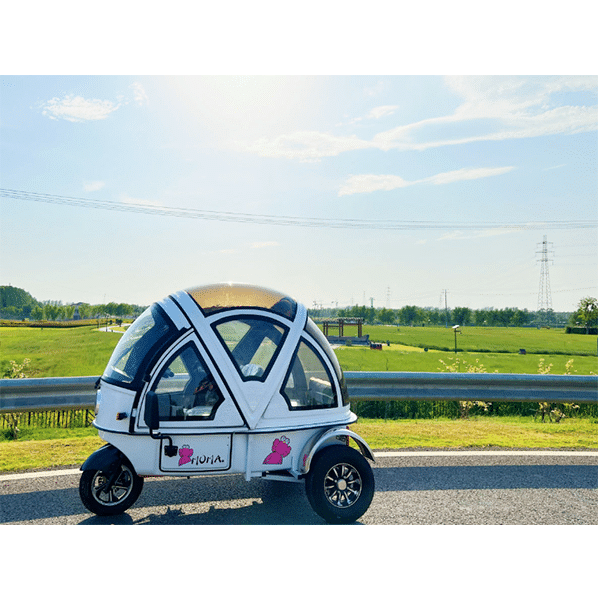 Electric vehicle tricycle fully enclosed transfer baby with shed adult folding semi-enclosed tricycle