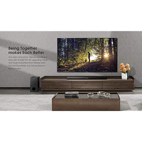 40-Inch Class H4 Series LED Roku Smart TV with Alexa Compatibility (40H4F, 2020 Model) 40 in TV Only