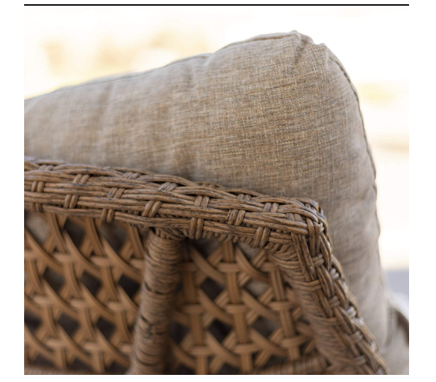 Walker Edison Estrella Modern 2 Piece Rattan Scoop Chair Set, Set of 2, Natural