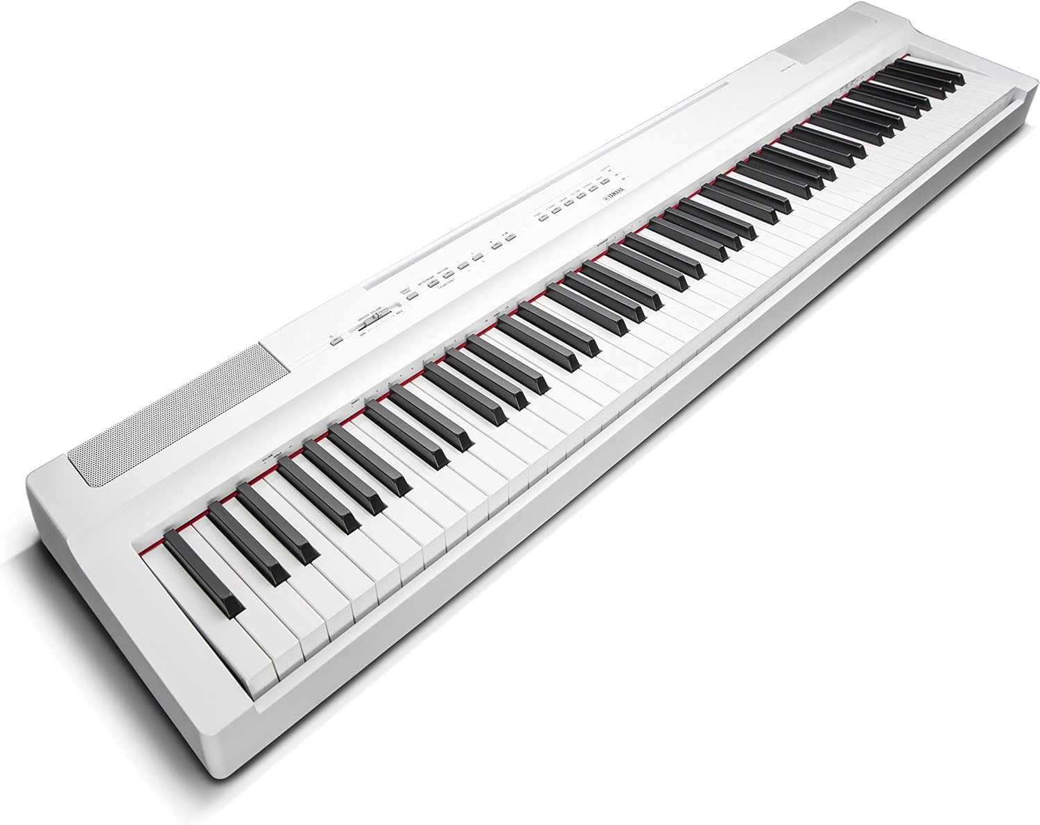 P125 88-Key Weighted Action Digital Piano with Power Supply and Sustain Pedal