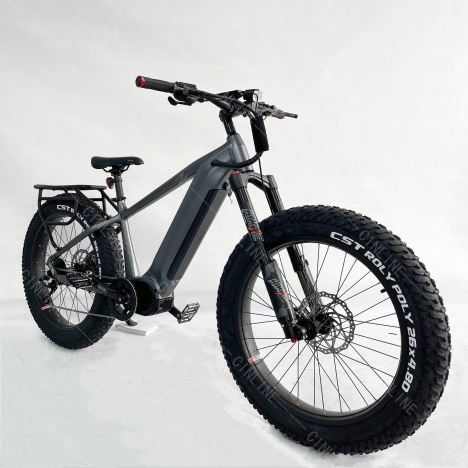 Fat tire Ebike long range easy rider central motor mountain electric bikes 48V 1000W