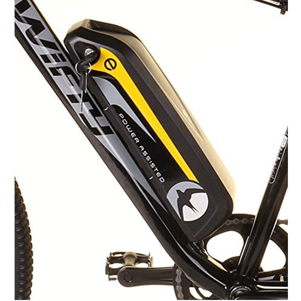 Electric mountain bikes, sold at a low price