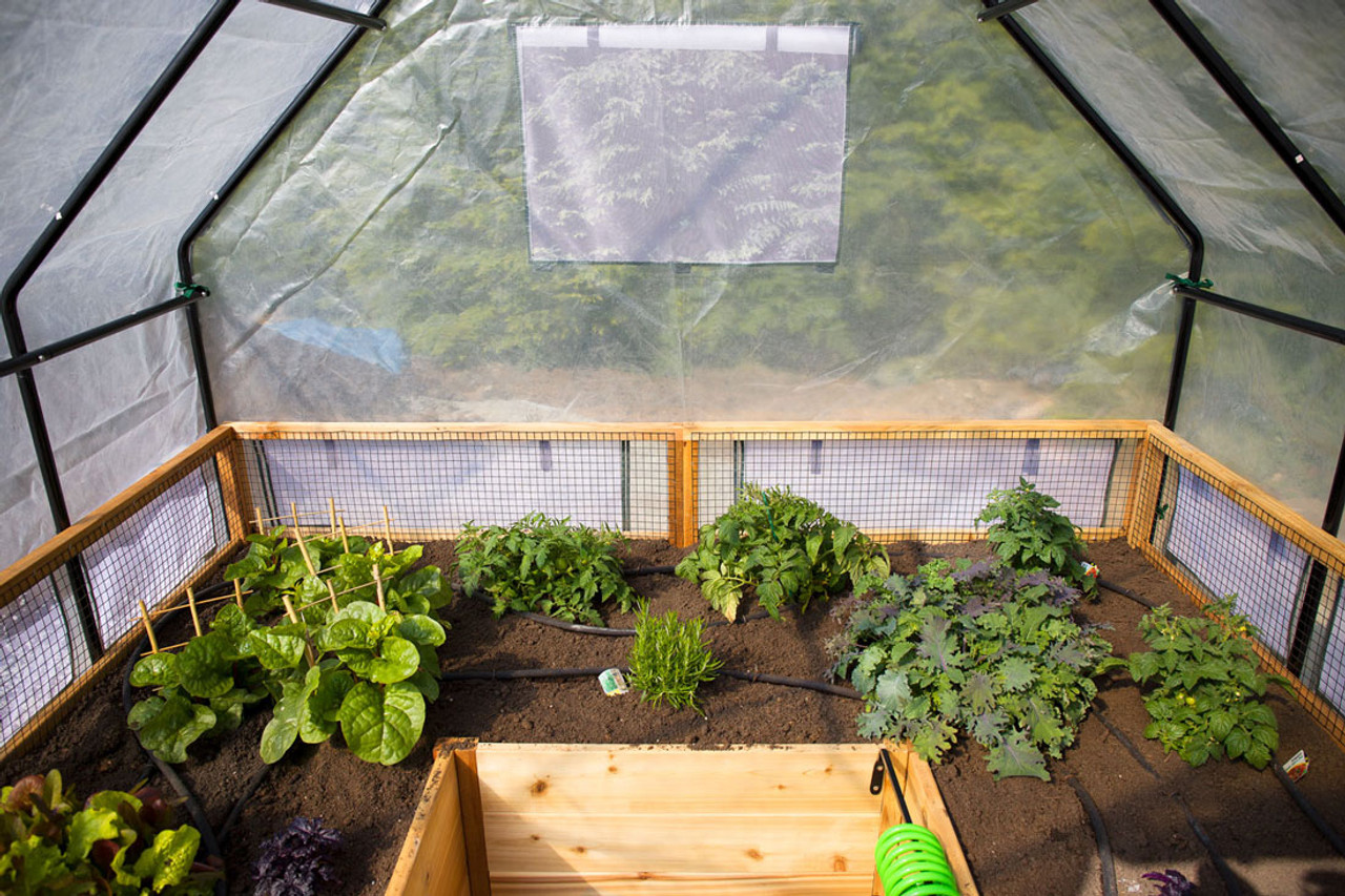 Cedar Complete Raised Garden Bed Kit with Greenhouse Cover 8' x 8'
