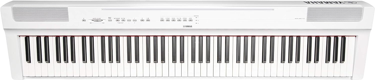 P125 88-Key Weighted Action Digital Piano with Power Supply and Sustain Pedal