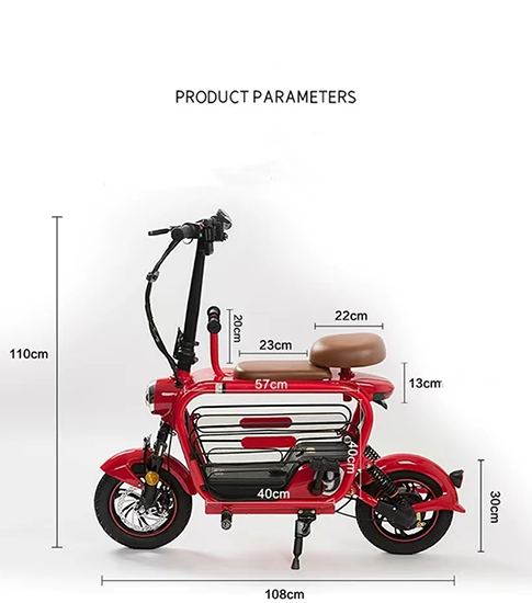 Double Electric Bike