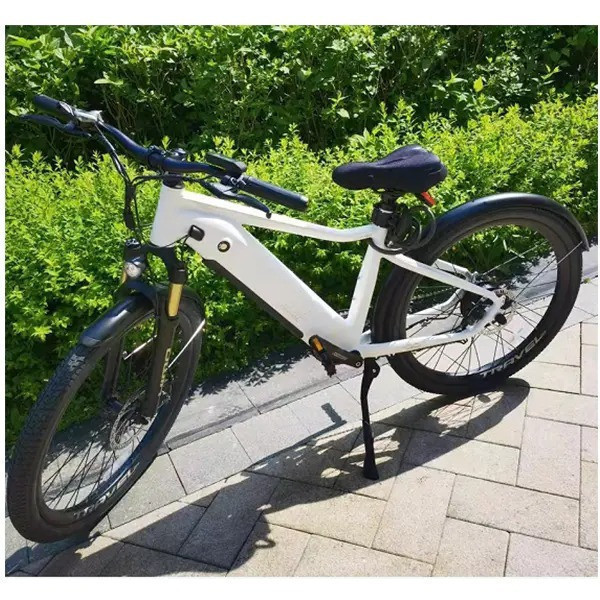 Electric Bike (NN)